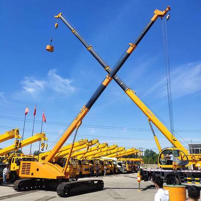 定制生產(chǎn) 蜘蛛吊車 吊重行走履帶吊 履帶吊車