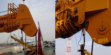 微特以卓越品質贏得中東客戶青睞，起重機產品揚帆海外市場