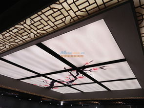 聲譽好的軟膜天花供應(yīng)商當(dāng)屬雅芊裝飾 無錫廣告燈箱價格