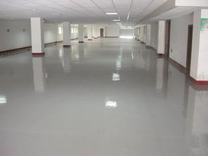 南京水泥地面固化與防水工程價格指南 影響因素與預算參考